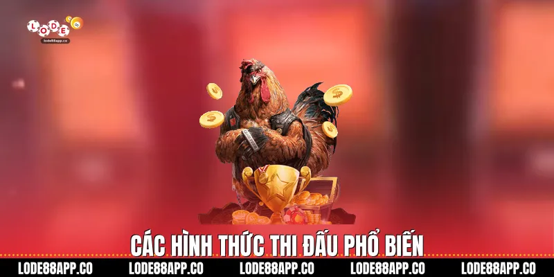 Các hình thức thi đấu phổ biến