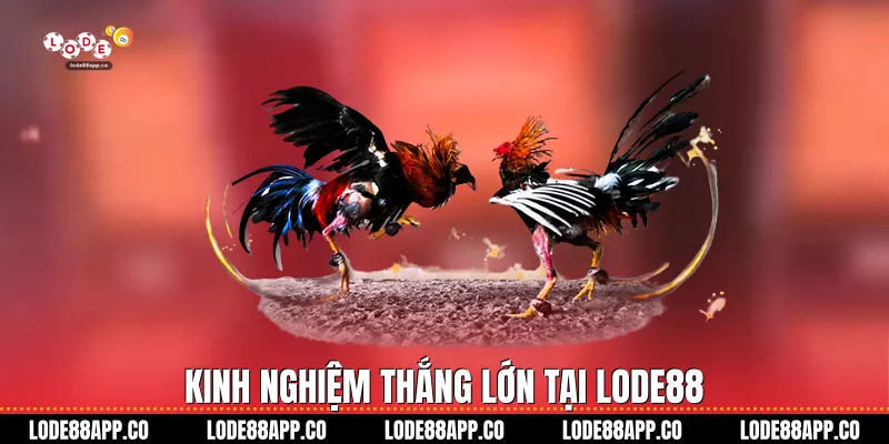 Kinh nghiệm thắng lớn tại Lode88